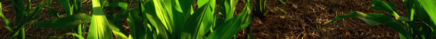 Landwirtschaft • Wasser • Boden